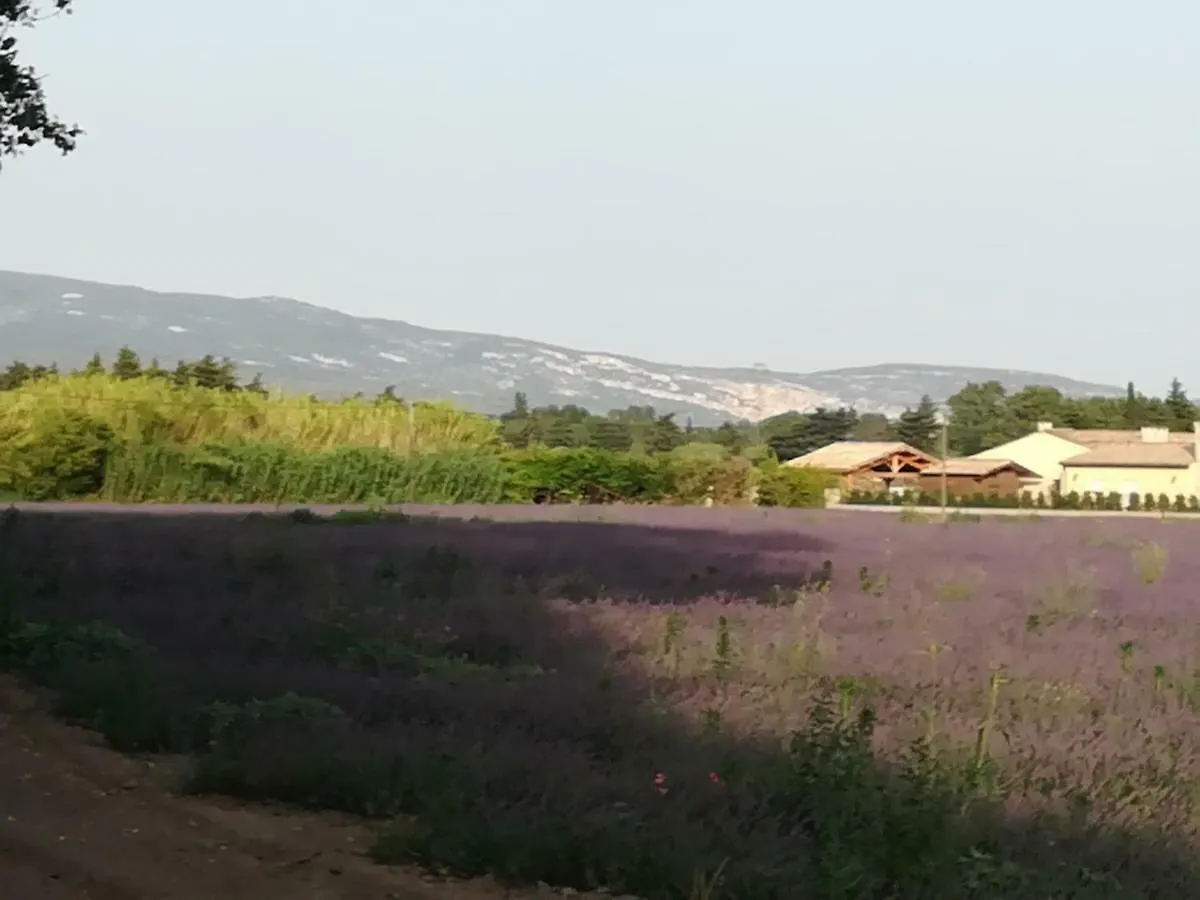 Bed and Breakfast Au Pays Du Ventoux Le Thor Frankreich