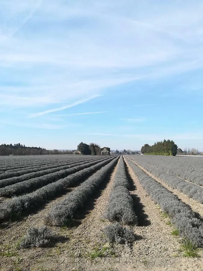 Au Pays Du Ventoux Bed & Breakfast Le Thor